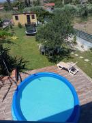 Top Vaccarizzo - Delfino