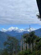 Top Pelling