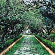 Top Ấp Long Hồ Hạ