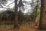 Habitación Cabaña