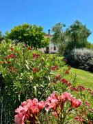 Top Case Selva Grande