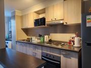 Top Temuco Top Temuco