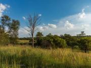 Top Cullinan