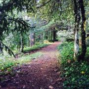 Top Puerto de Béjar