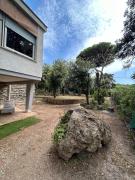 Top Baratti