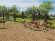 Top Citta' Sant'Angelo