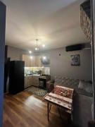 cozy, clear apartment in a prestigious location in Tbilisi