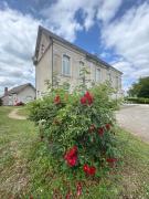 Top Saint Laurent Nouan