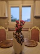 Top Néa Michanióna