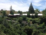 Top Groveland