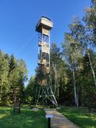 Top Liiküla