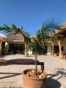 Sarabi Wild Masai Mara