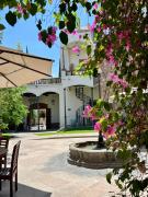 Top San Luis Potosí