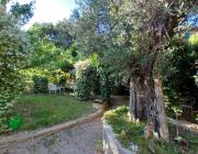 Casa intera con giardino