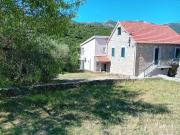 Apartment Green view
