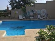 Nerrys Garden İzmit - Camellia