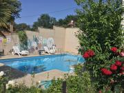 Nerrys Garden İzmit - Camellia