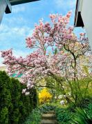 Ferienwohnung an den Weinbergen