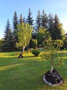 Apartmani Nika Zlatibor