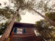 Chalé Matas de Camboriú