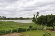 Top Talai