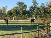 Top Saint-Julien-de-Concelles