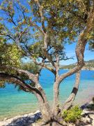 Top Sainte-Croix-de-Verdon