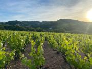 Top Salles-Arbuissonnas