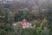 ELIVAAS Blushing Pines 3 BHK With Attic and Classy Interiors