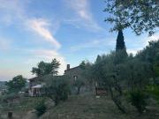 Top Castiglion Fiorentino