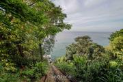 Top Salvador