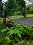 Top Peje Viejo Top Peje Viejo