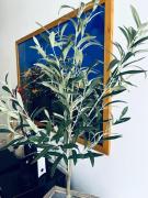 Top San Vito lo Capo