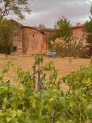 Les vins de Rouyré - Maison, 4 pers, grand jardin, bain nordique