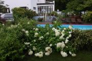 Top Pärnu
