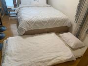 Airport and Disney direct bus Near Koiwa station