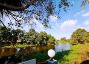 Top U Thong Top U Thong