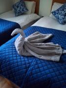 UlsterApartments one bedroom 2 single beds and sofa bed