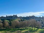 Top Carcassonne