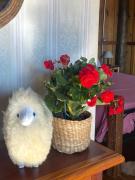 Top Araçoiaba da Serra