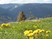 Top Pec pod Sněžkou