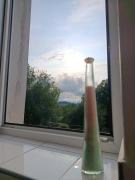 Top Konstantinovy Lázně