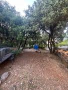 Top Saint-Maximin-la-Sainte-Baume