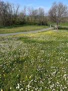 Top CastellʼArquato