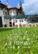Top Sinaia
