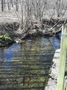 Top Saint-Maurice-sur-Moselle Top Saint-Maurice-sur-Moselle