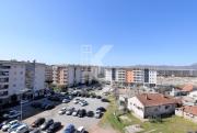 Top Kravlja
