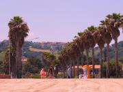Top Porto San Giorgio Top Porto San Giorgio