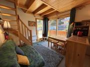 Appartement familial à Méribel, proche pistes - FR-1-355-273