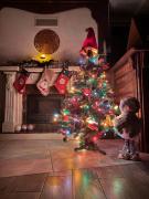 Top Yablunytsya Top Yablunytsya